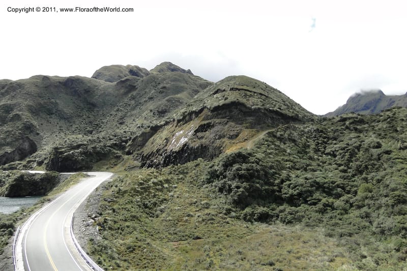 Ecuador. P. N. Sangay. 6 June 2011. 375.jpg