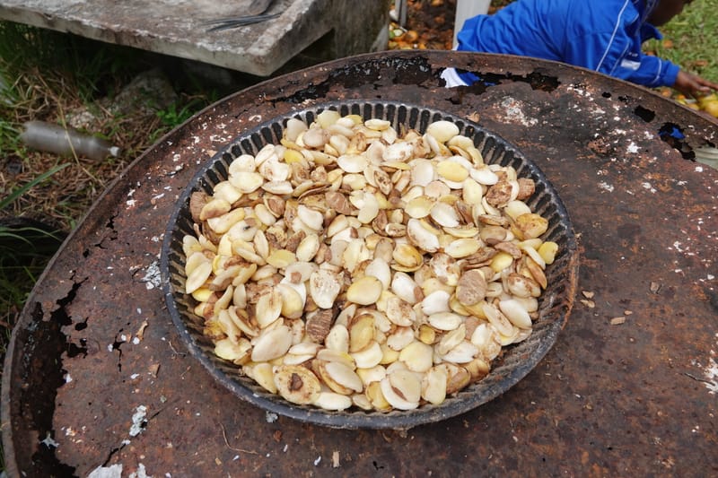 Irvingia gabonensis, C. Davidson 13929--Gabon. Missome Village. 31 Oct 2018. DSC00817 (105).JPG