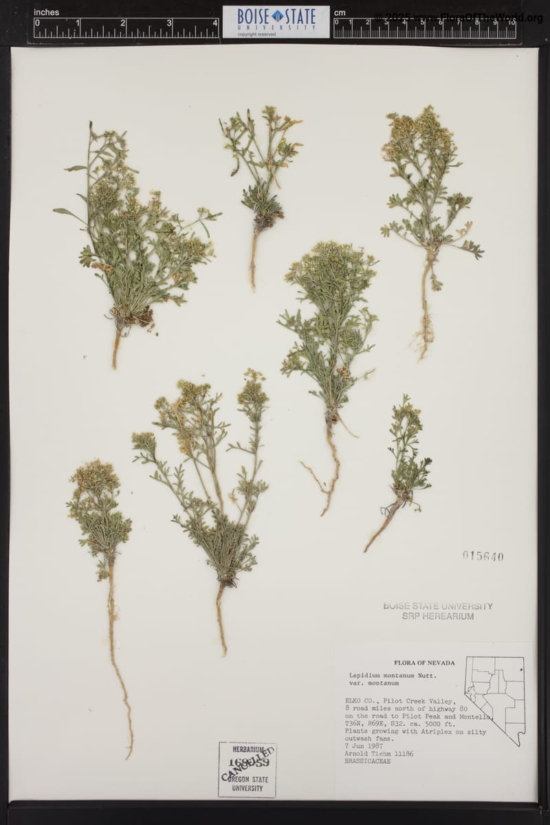 SRP015640.jpg