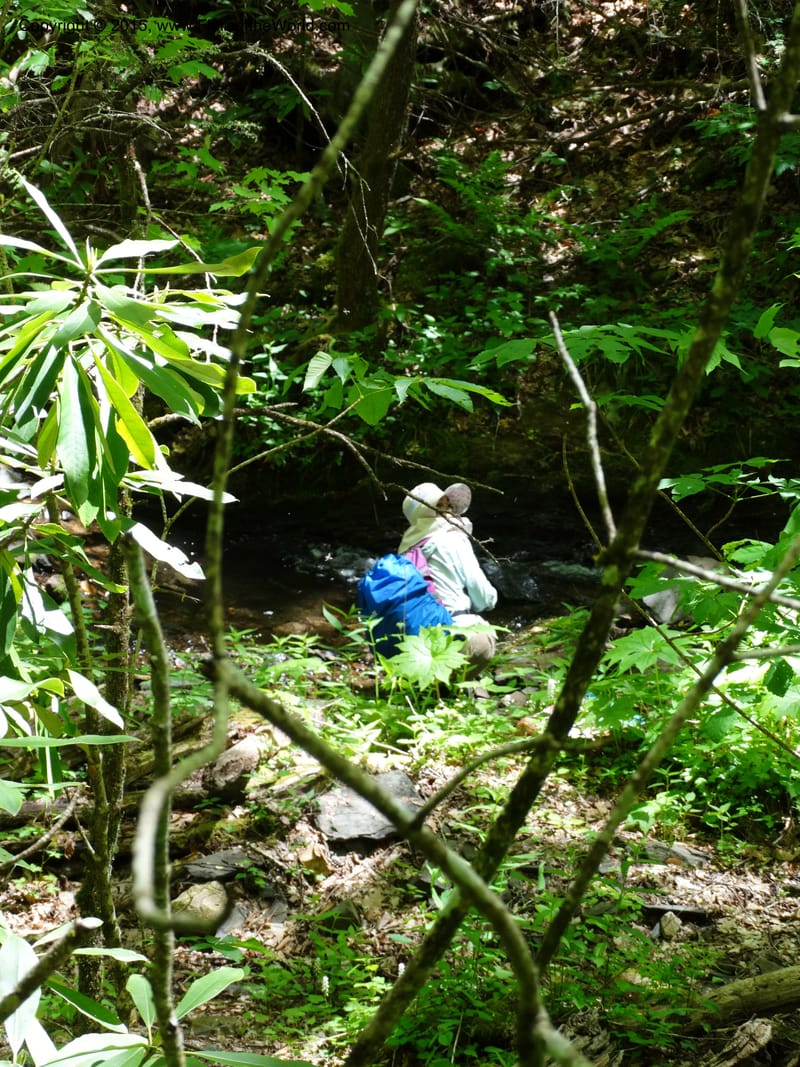 No Carolina. Clay Co. Perry Gap Rd, Barnards Cr. 13 May 2015. DSC04860 (159).JPG