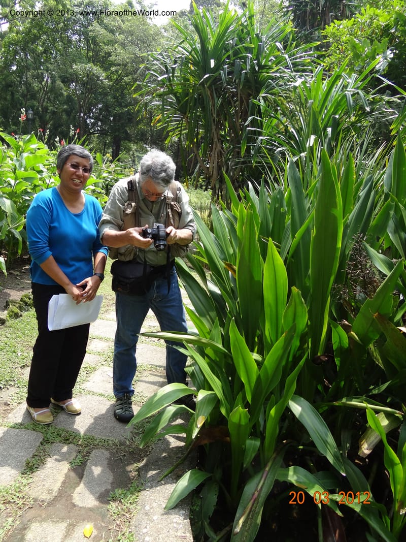 Joan Bereria, C. Davidson @ Singapore Bot. Garden, 21 Mar 2012.JPG