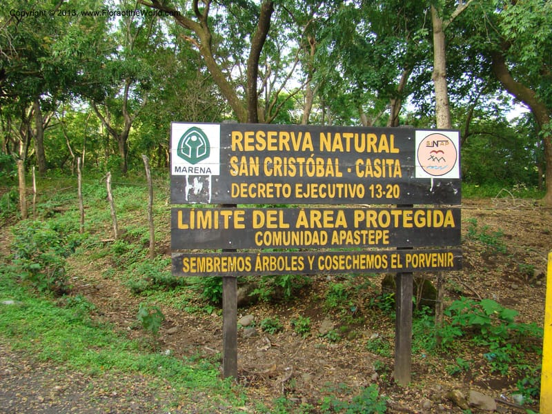 Nicaragua. Leon. Isla Juan Venado, S of Penitas. 11 Jun 08. 001.jpg