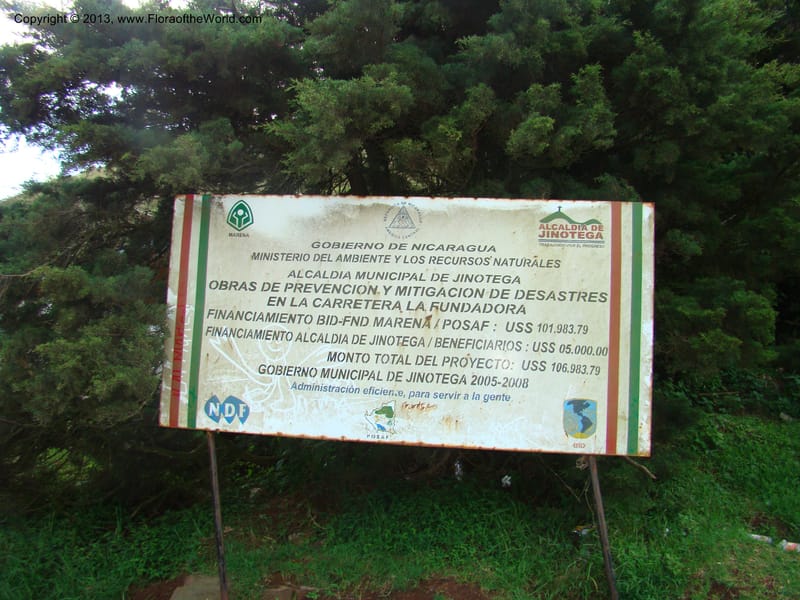 Nicaragua. Jinotega. Area prot., rd to La Fundadora. 16 Jun 08. 110.jpg